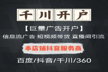 SEM搜索引擎优化案例：如何提升网站流量和转化率